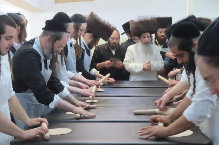 פסח תשפ''ו בחצר הקודש אונגוואר (4)