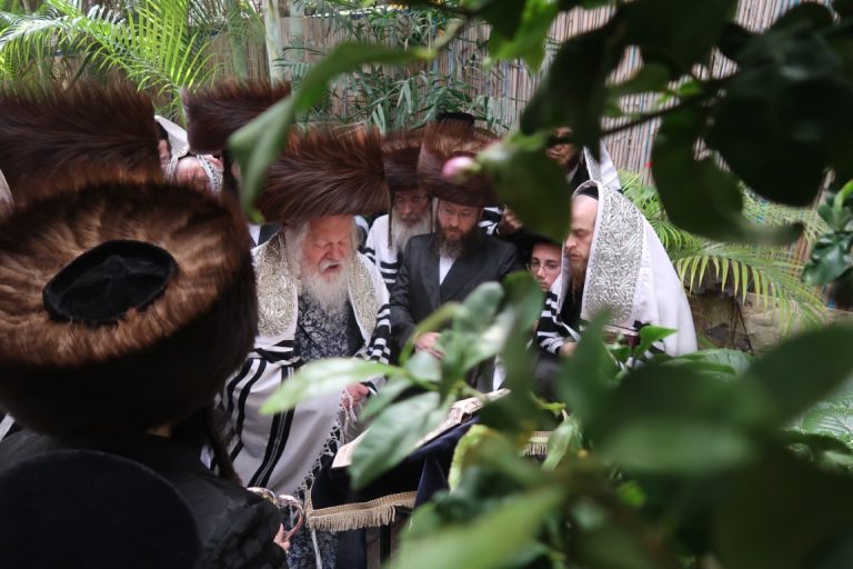פרמישלאן ברכת האילנות צילום י