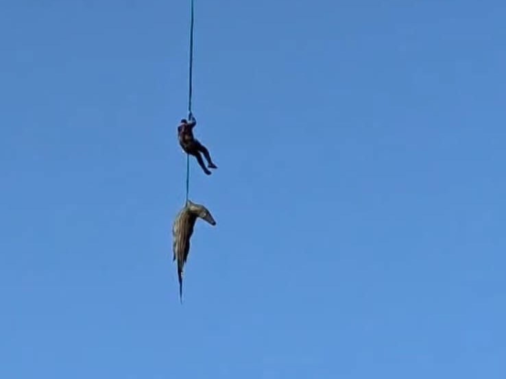 685526999_1402019061953533_2925199667155087093_n (1)