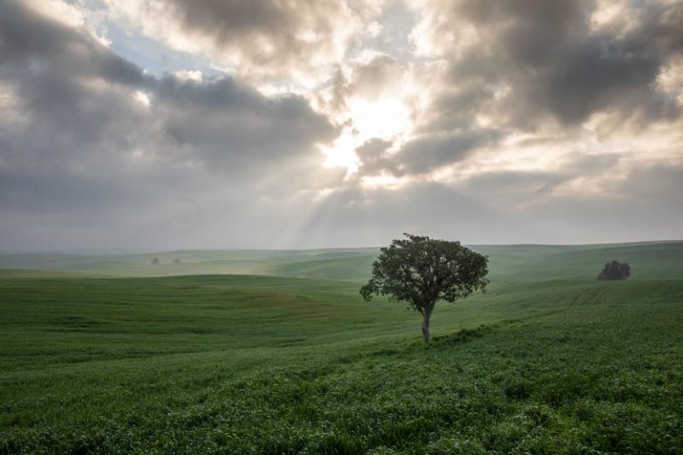 MIDEAST ISRAEL NATURE