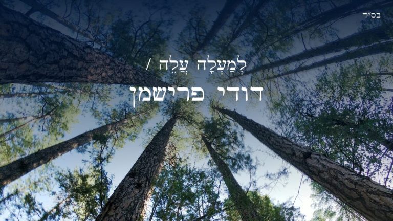 דודי פרישמן למעלה עלה - גרפיקה