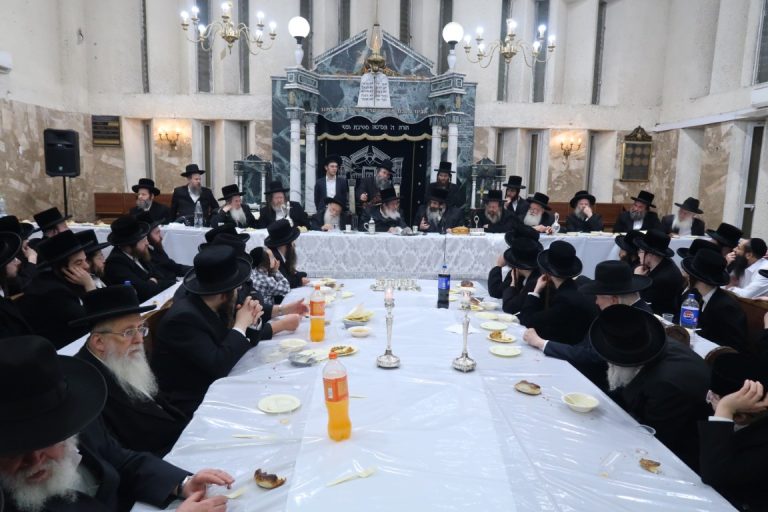 הילולת האדמו''ר מקאמארנא בעל משנת מנחם צילום ש.פ.ה