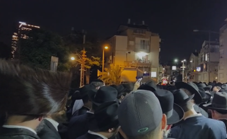 צילום דוד קשת