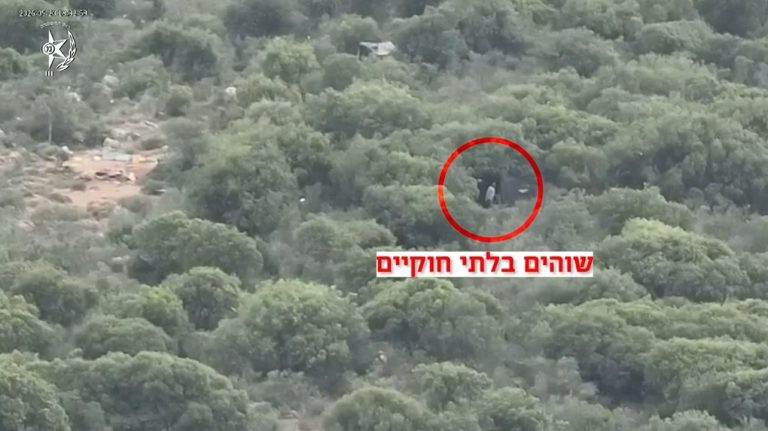 צילום מסך 2026-05-21 121600