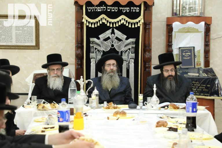 ראפשיץ הילולא (12)