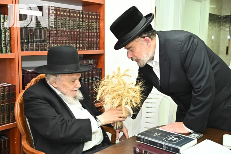 ראשית קצירת החיטים רגע לפני חג השבועות צילום שוקי לרר (24)
