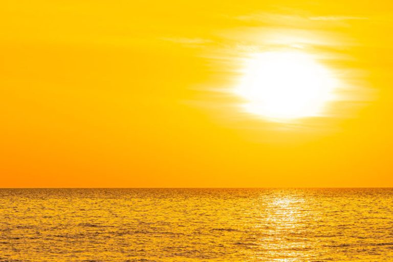 14111_800x533
