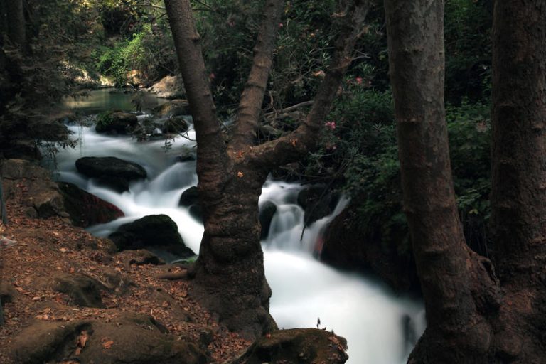 BANIAS NATURE RESERVE