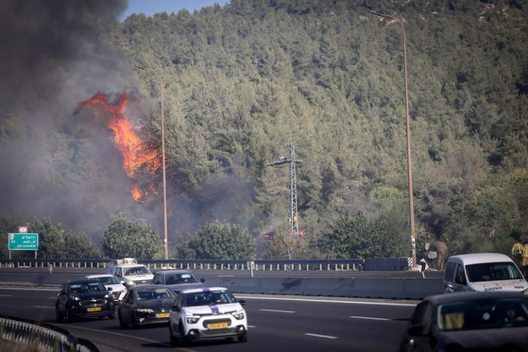 FOREST FIRE