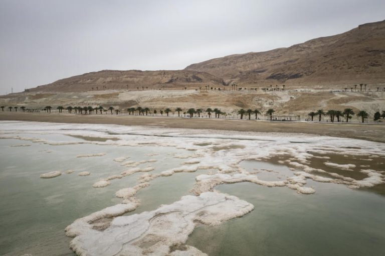 DEAD SEA