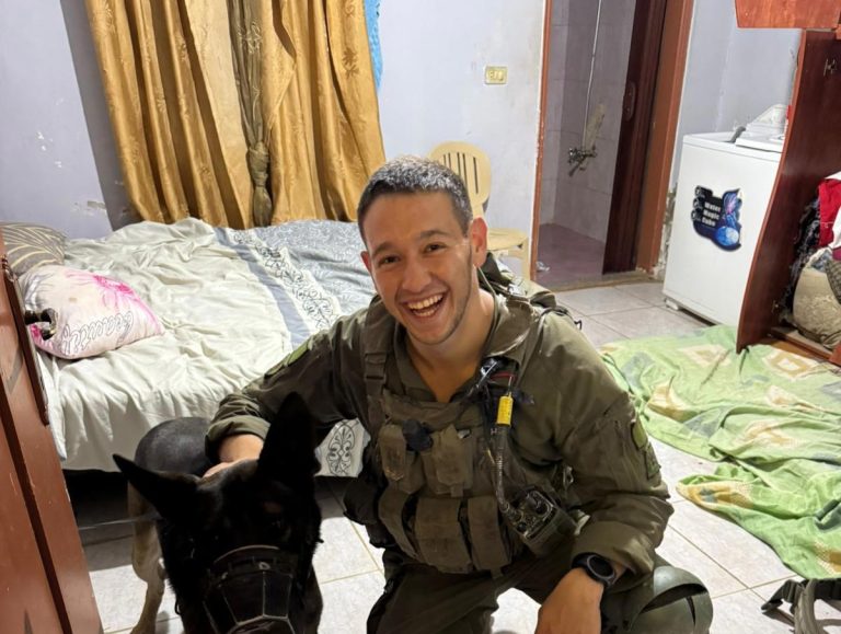 דוד-חזות