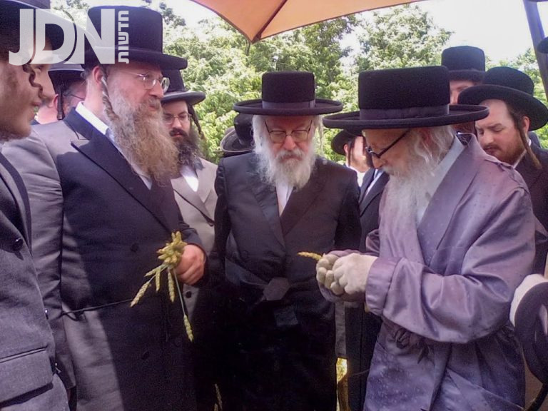 האחים האדמ''רים מסערדאהעלי ווויען בקצירת חיטים לקראת חג הפסח תשפ''ז בניו ג'רזי (8)