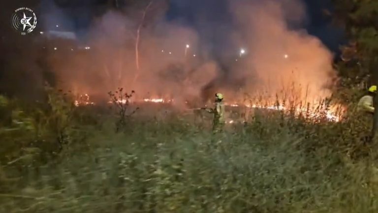 צילום מסך 2026-06-01 080745