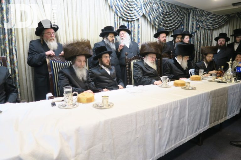 שמחת התנאים נדבורנה מודז'יץ אונגוואר - צילום מ.ה