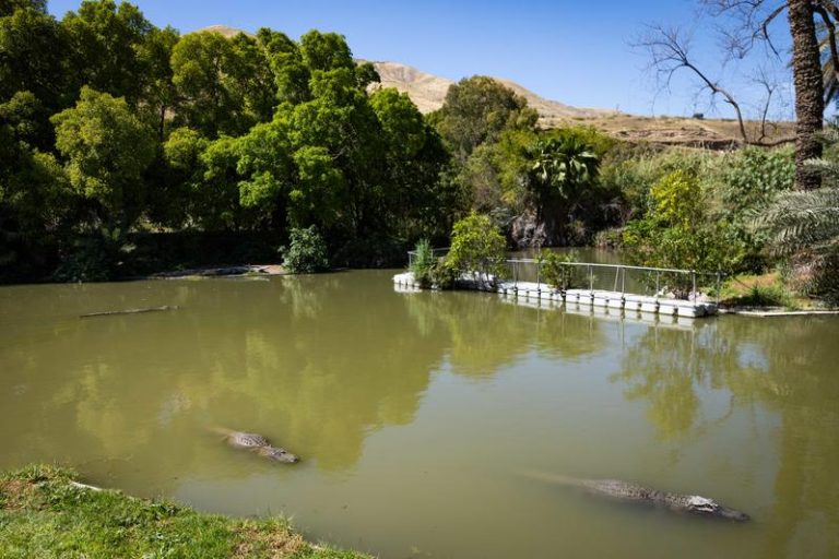 MIDEAST ISRAEL NATURE
