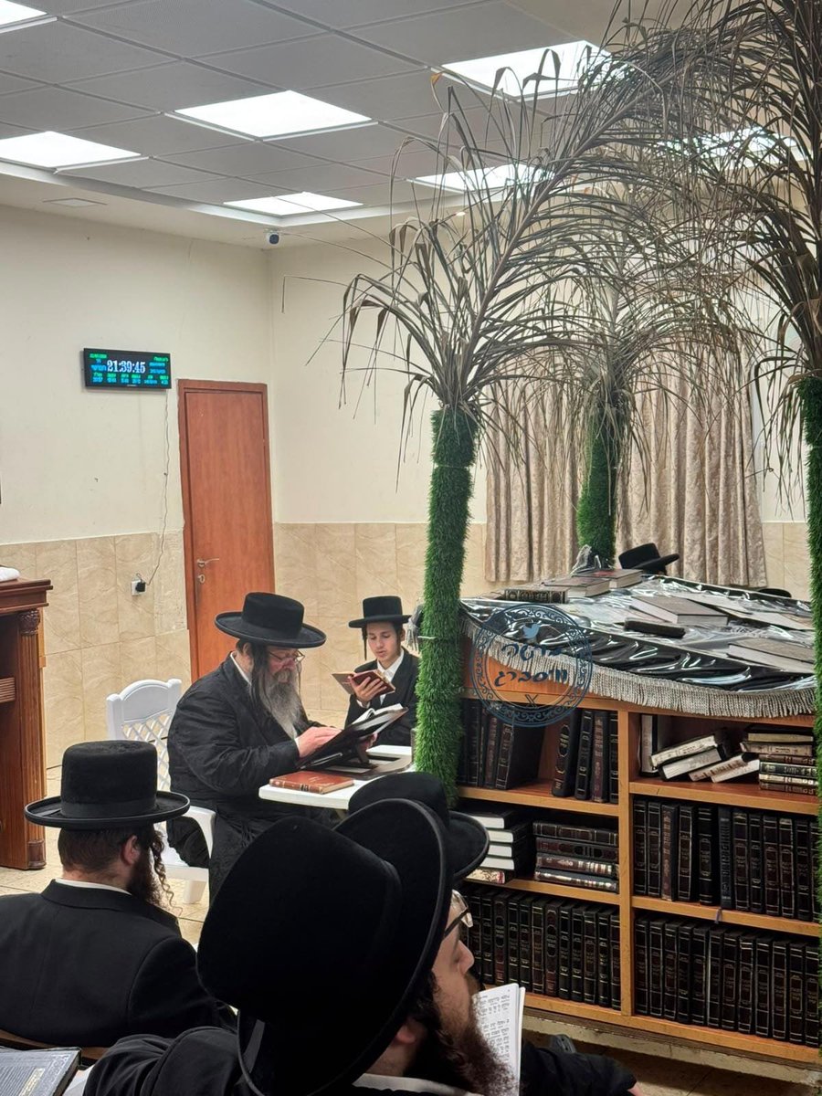 הרבי מבישטנא קורא איכה ברקע עצי חג השבועות, כמנהג קרעטשניף להסיר את עצי חג השבועות בשבת ואתחנן